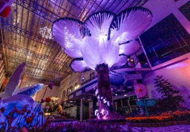 WONDARA – The Power of Flower – Immersive Exhibition แลนด์มาร์กท่องเที่ยวแห่งใหม่ จ.ระยองชวนให้สัมผัสกับพลังแห่งดอกไม้แบบ 4 มิติ เปิดให้เข้าชมแล้ววันนี้ จองบัตรเข้าชมได้ทาง Zipevent