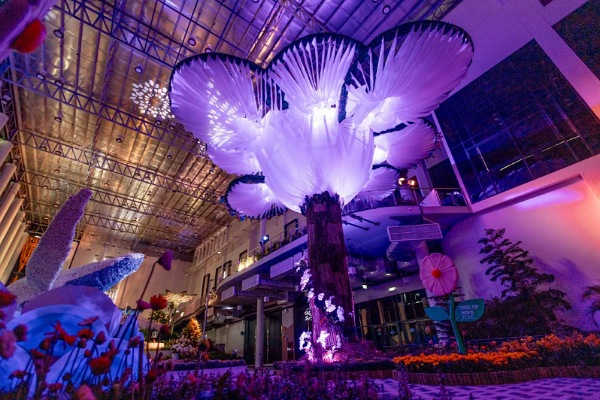 WONDARA – The Power of Flower – Immersive Exhibition แลนด์มาร์กท่องเที่ยวแห่งใหม่ จ.ระยองชวนให้สัมผัสกับพลังแห่งดอกไม้แบบ 4 มิติ เปิดให้เข้าชมแล้ววันนี้ จองบัตรเข้าชมได้ทาง Zipevent