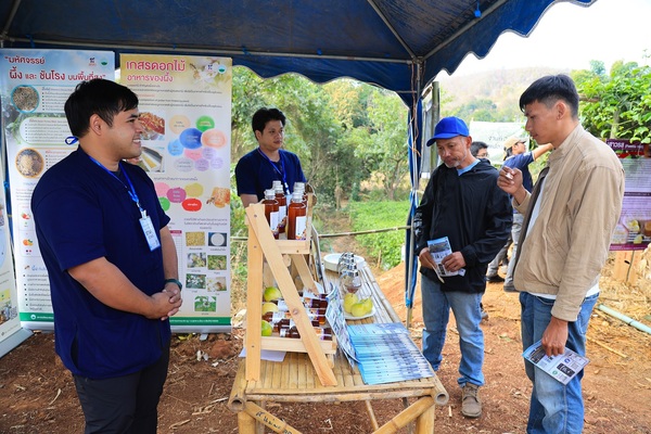 สวพส. ขยายองค์ความรู้ปรับระบบเกษตรบนพื้นที่สูง สู่เกษตรที่เป็นมิตรกับสิ่งแวดล้อมลดการเผา แก้ปัญหา PM 2.5 อย่างยั่งยืนในอำเภอแม่แจ่ม