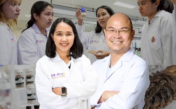 นักวิจัย ม.วลัยลักษณ์เจ๋ง เปลี่ยนทะลายปาล์มเหลือทิ้ง สู่สารชีวเคมีมูลค่าหลักล้าน