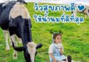 5 ปี East Field จากแม่ที่อยากเลือกสิ่งดีที่สุดให้ลูก สู่แบรนด์นมที่เติบโตจากความใส่ใจ