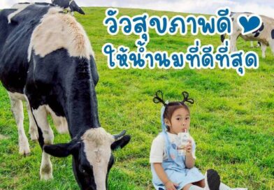 5 ปี East Field จากแม่ที่อยากเลือกสิ่งดีที่สุดให้ลูก สู่แบรนด์นมที่เติบโตจากความใส่ใจ