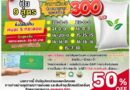 กรมการค้าภายในเดินหน้าโครงการ “ธงเขียวราคาประหยัดพลัส” ช่วยเกษตรกรและประชาชนลดค่าครองชีพ